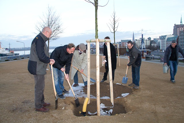Baumpflanzen am Kanonsberg